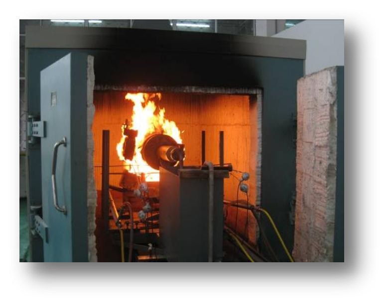 Fire-safe test capability
