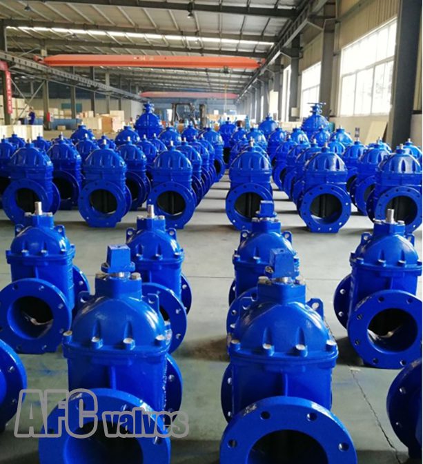 Ductile Iron Gate Valve industrial valve