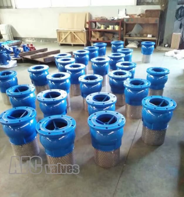 Cast Iron Foot Valve industrial valve