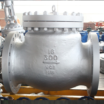 Check Valves industrial valve manufactured by SMD Valves