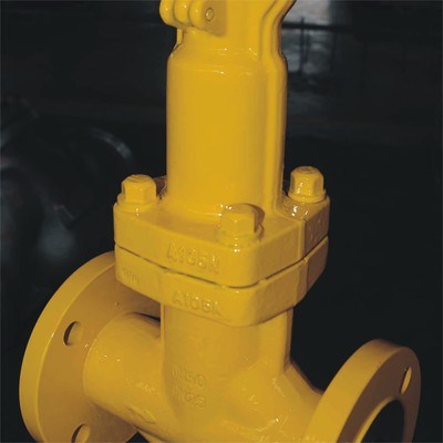 Bellow Seal Globe Valve industrial valve