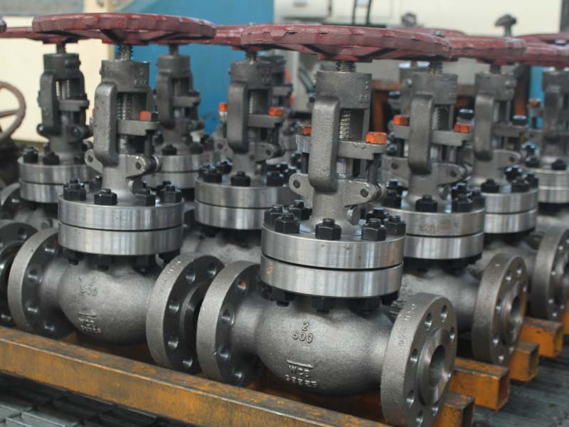 Globe Valves industrial valve manufactured by SMD Valves